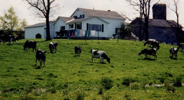 Fred Burton Farm